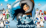 Icy Wonders