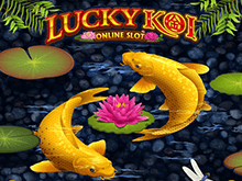 Lucky Koi